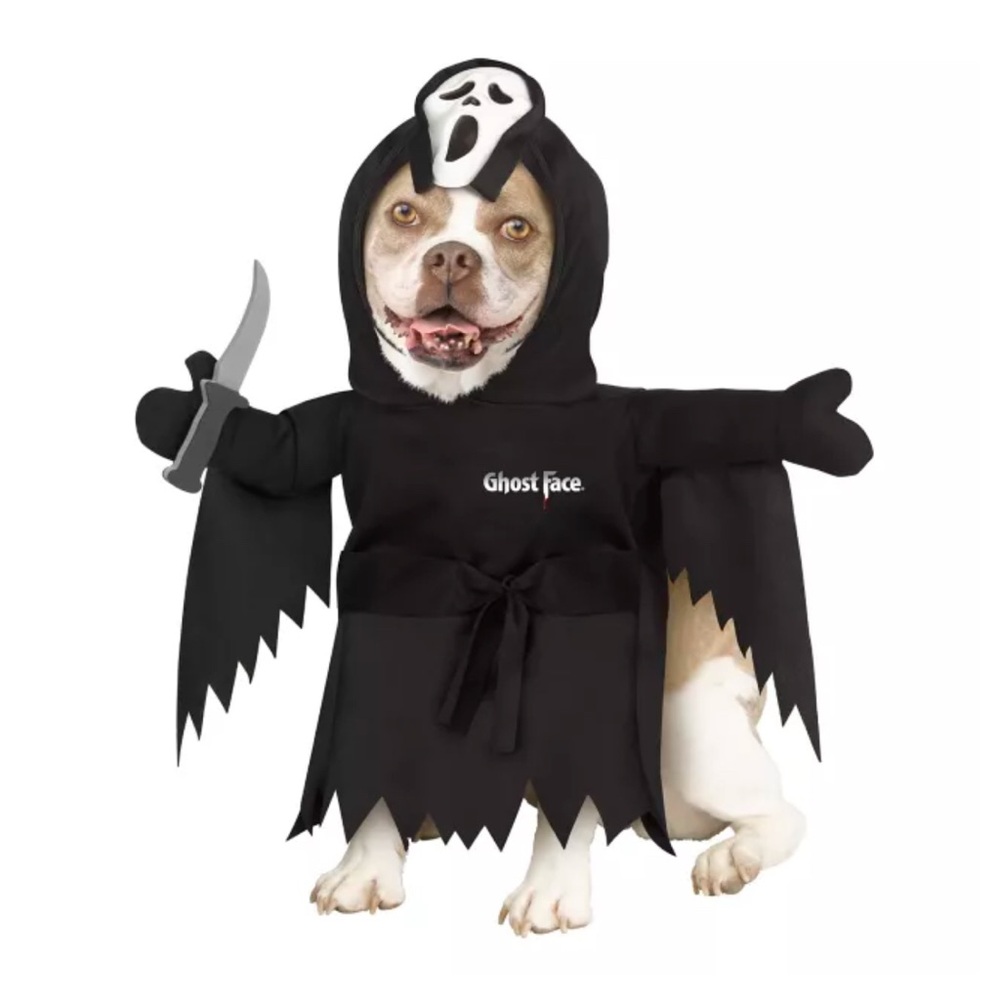 Fun world Ghost Face pet costume. NWT size small